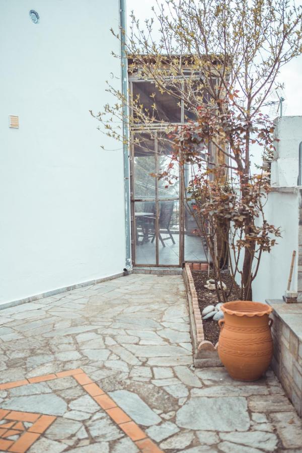 Violetta'S House Παραδοσιακή Βίλα Στην Πορταριά Exterior photo